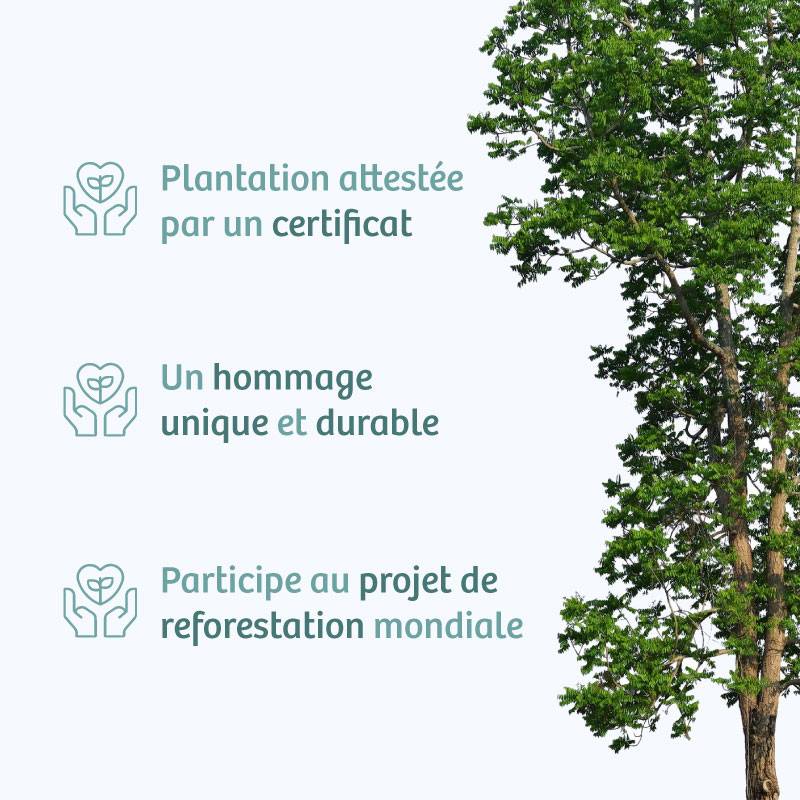 Planter un arbre en hommage à M. Gérard RICHARD